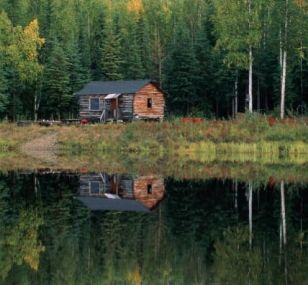 The Lakeside Cabin