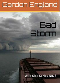 Bad Storm