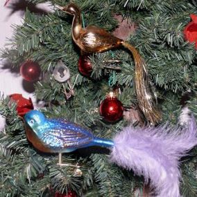 The Christmas Tree Bird