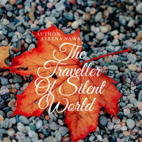 The Traveller Of Silent World