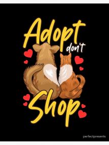 Paws for Thought:The Impact of Adoption