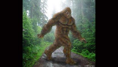 Bigfoot