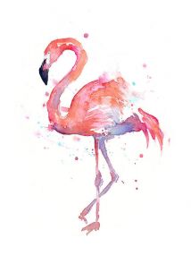 The True Story of the Flamingo