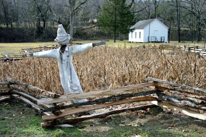 Scarecrow in the garden