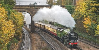 STEAM TRAIN