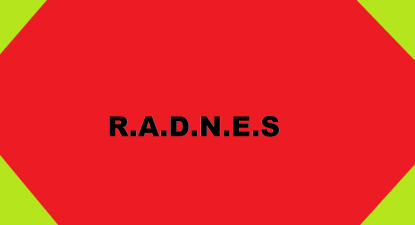 R.A.D.N.E.S [The Preliminary]